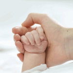 Источник фото: ru.freepik.com
