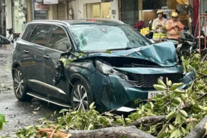 Cây gãy đè trúng ô tô trên đường Trần Quang Diệu, phường Nhiêu Lộc, đầu xe bị biến dạng. Theo người dân có mặt tại hiện trường, sự cố xảy ra khoảng 11h30, tài xế ra khỏi xe an toàn - Ảnh: PHƯƠNG NHI