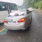 Chiếc ô tô bị cây rừng đè trúng trên đèo Bảo Lộc - Ảnh: PHẠM NGÂN