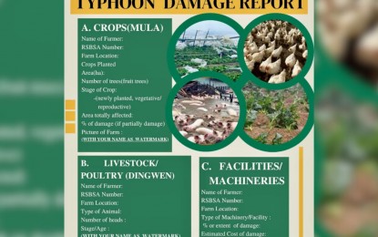 (Infographics from DA-CAR FB)