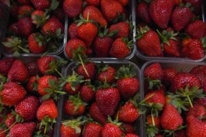 Фото Виктории Перевязко, «Кубань 24»