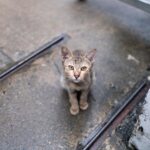 Фото freepik.com