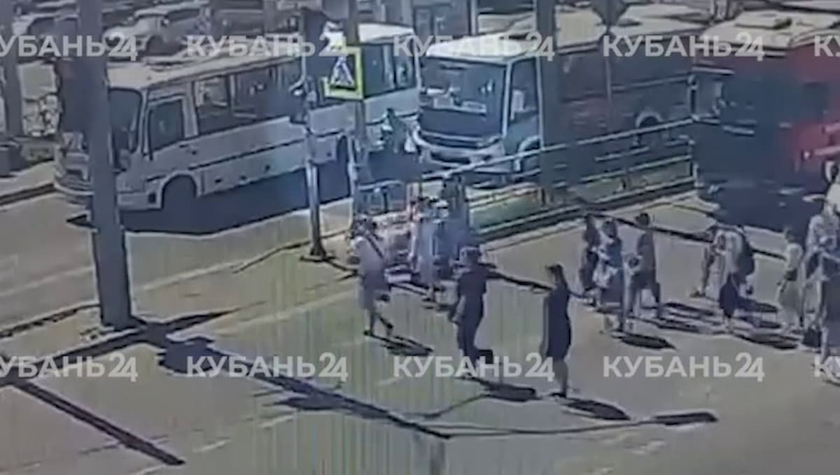 Скриншот видео «Кубань 24»