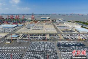 7月16日，上海外高桥港区等待装船出口的新车。 谢宗赢 摄