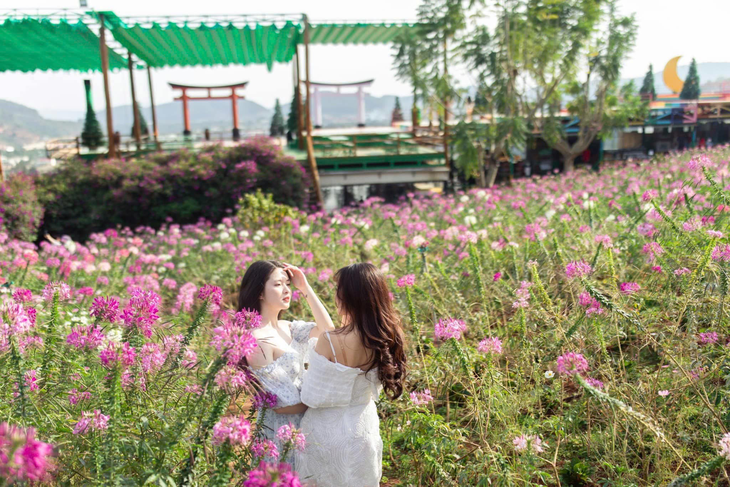 Da Lat - Image 3.