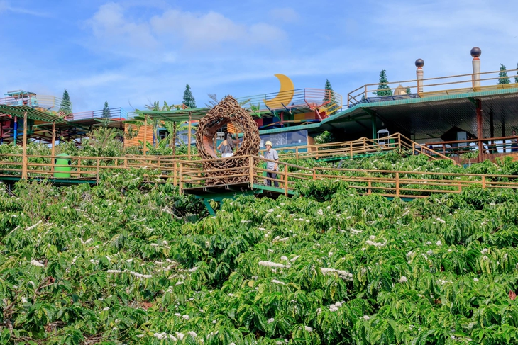 Da Lat - Image 2.