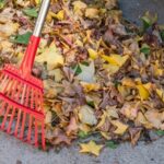 Источник фото: unsplash.com