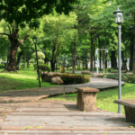 Источник фото: ru.freepik.com