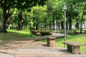 Источник фото: ru.freepik.com