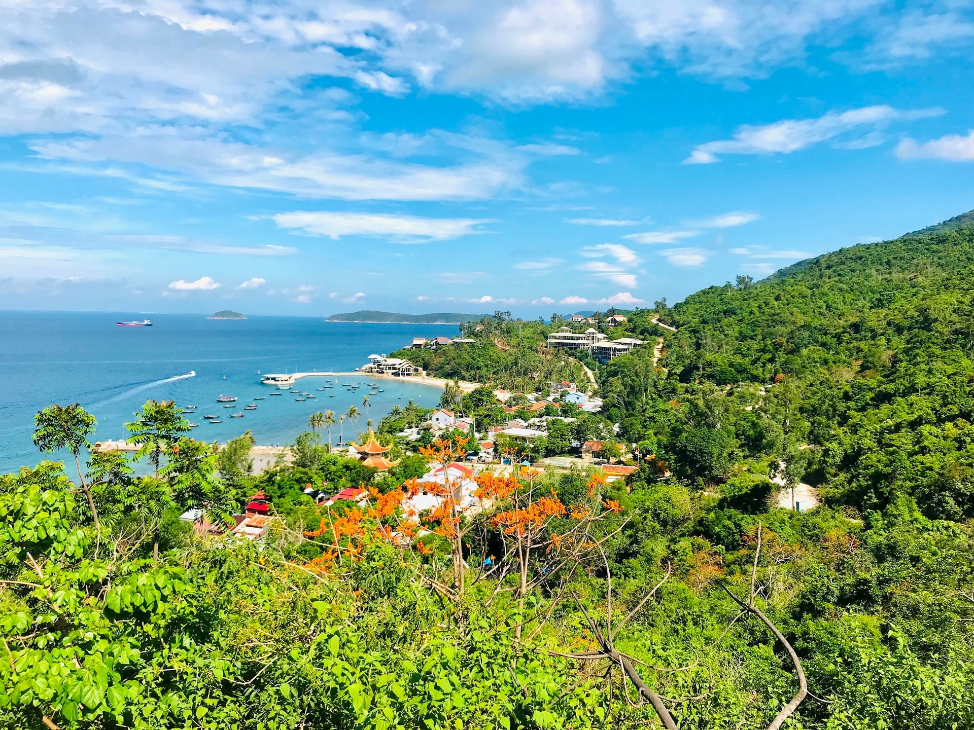 The natural ecosystem of Cu Lao Cham has high biodiversity, requiring research to establish specialized tours exploring flora and fauna to promote ecotourism.