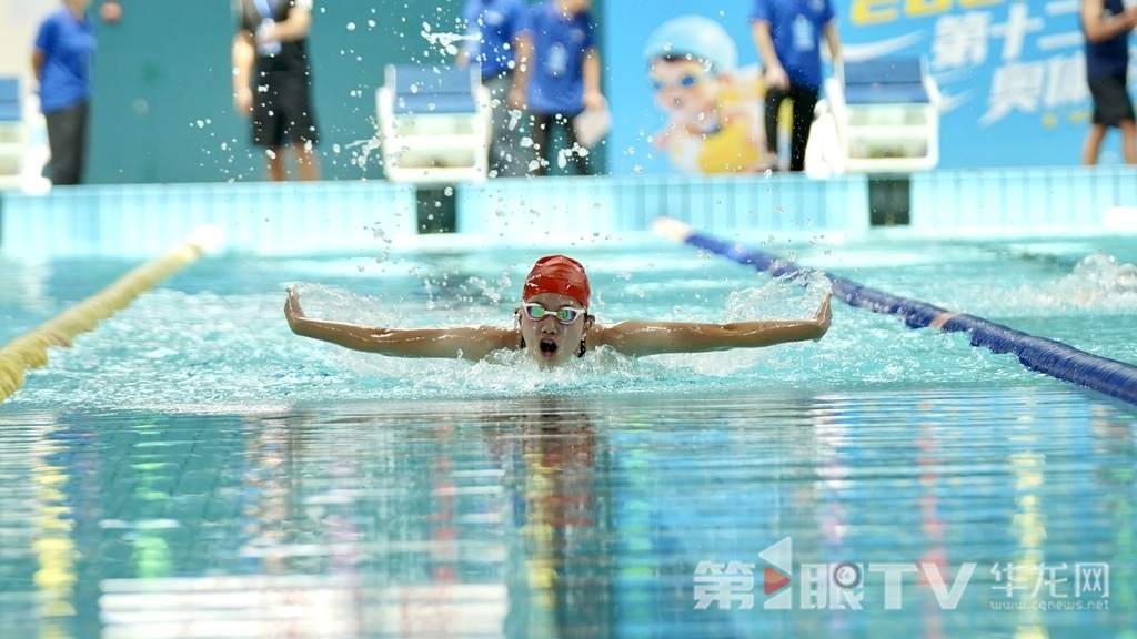 Junge Schwimmer im Wettkampf