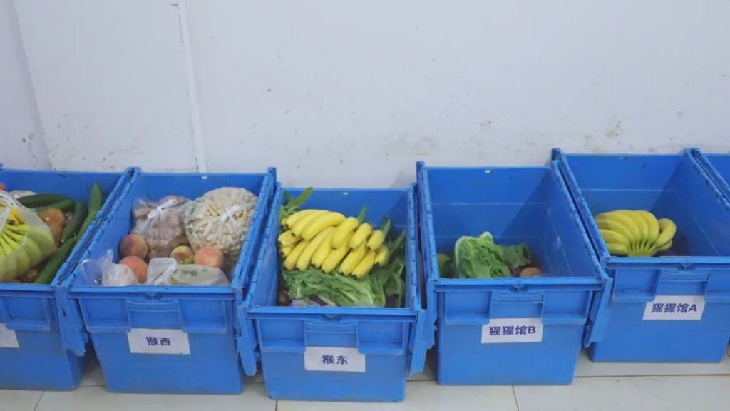 Staff weighing and portioning specialized food.