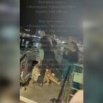 Скриншот видео t.me/gelen_chp_official