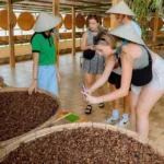 Du khách tìm hiểu cà phê ở Mê Linh Coffee Garden - Ảnh: L.A