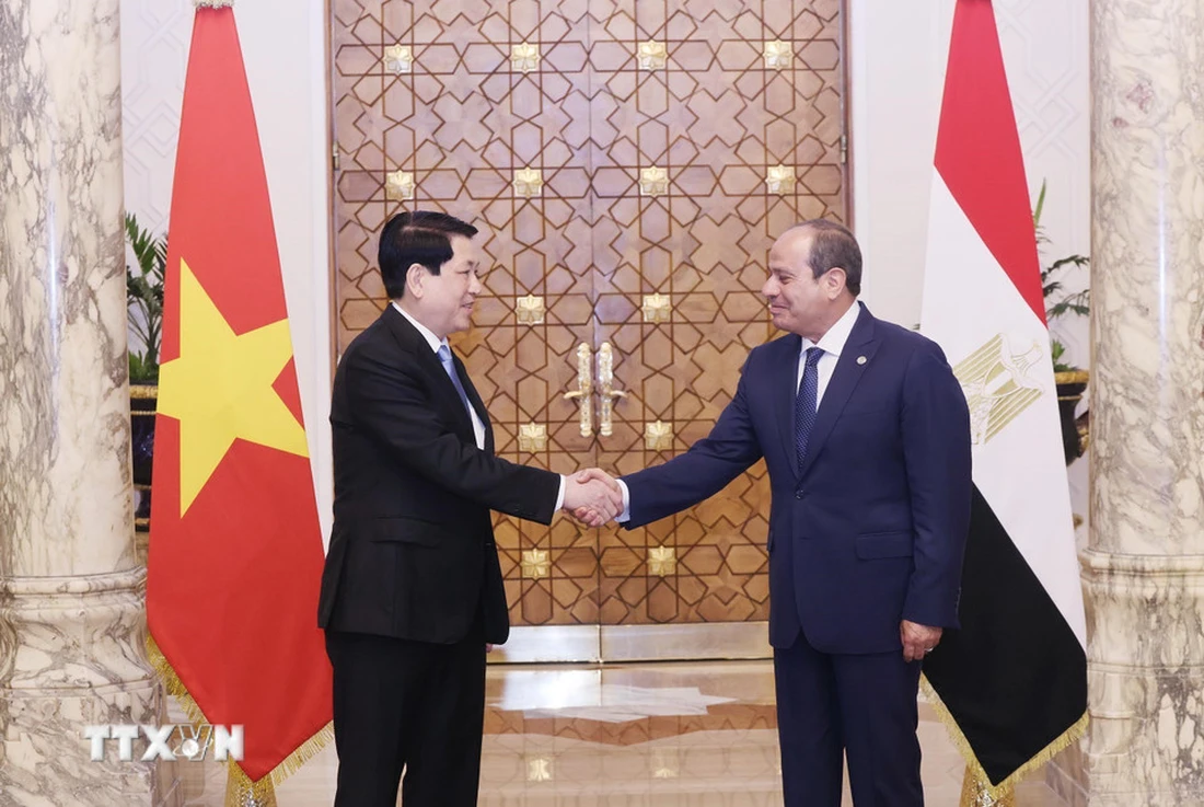 Tổng thống Ai Cập đón Chủ tịch nước Lương Cường - Ảnh; TTXVN