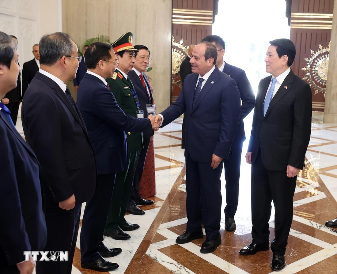 President Luong Cuong - Image 3.