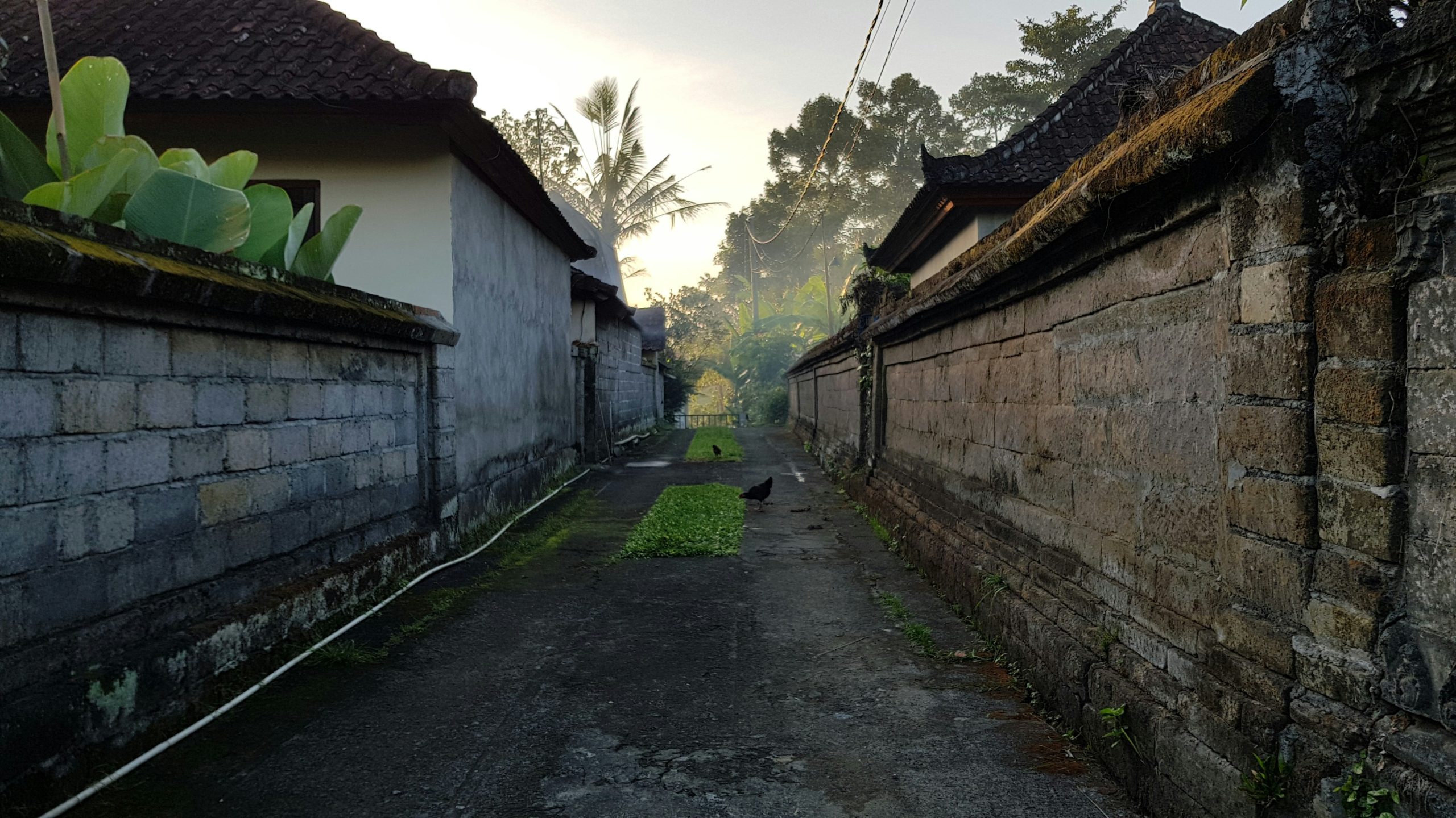 Ilustrasi perbaikan jalan Cipayung-Pitara /Unsplash @Danny Schleicher