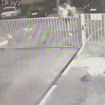 Источник фото: ГУ Росгвардии по Краснодарскому краю