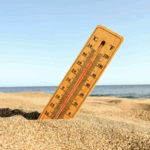 Источник фото: ru.freepik.com