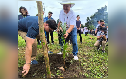 GUINNESS RECORD. San Pablo City Mayor Najie Gapangada (with hat) plants a coconut seedling in a vacant lot on Friday (Aug. 29, 2025). The city broke India’s Guinness World Record for most people planting coconut seedlings simultaneously in different venues, with 11,000 seedlings planted in 15 minutes by thousands of volunteers in 12 villages. (Photo courtesy of San Pablo-CIO)