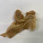 パック入り焼きそばに混入していたキッチンペーパーのような紙片と毛髪（横浜市提供）