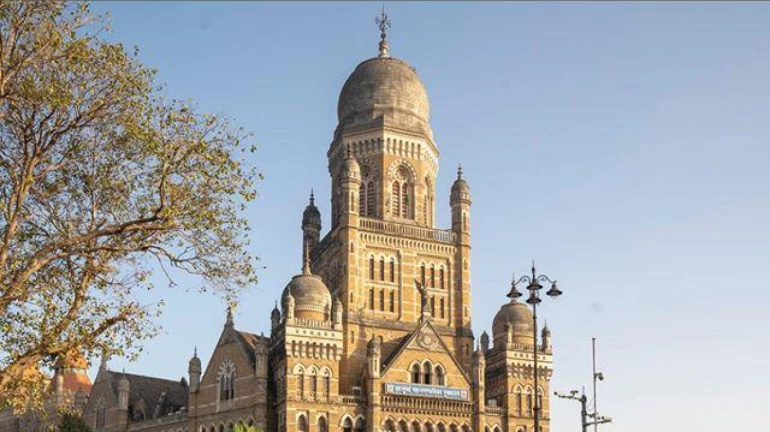 Mumbai: BMC releases draft ward formation plan for 2025 civic polls