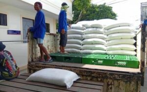 RICE AID. Sacks of rice given to the local government units of Albay in an undated photo. A total of 900 sacks were distributed to 18 LGUs of Albay. (Photo courtesy of Albay PIO)