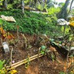 Makam Raya, bocah yang meninggal dipenuhi cacing (Foto: Syahdan Alamsyah/detikJabar).