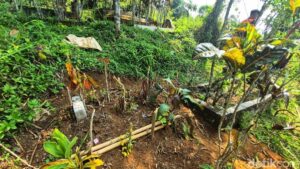 Makam Raya, bocah yang meninggal dipenuhi cacing (Foto: Syahdan Alamsyah/detikJabar).