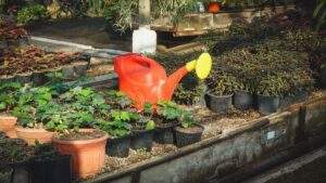 Осень в саду — это не только богатый урожай, но и важный этап заботы о будущем плодоношении