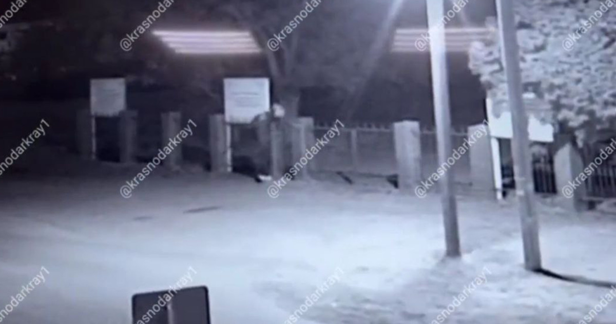 Скриншот видео t.me/krasnodarkray1
