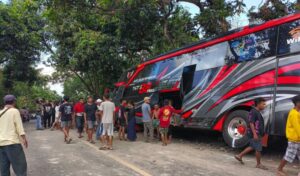 Sebuah bus mengalami kecelakaan di kawasan Ngepung, Sukapura, Kabupaten Probolinggo pada Minggu (14/9/2025) siang. Foto: Yulianto via WA SS