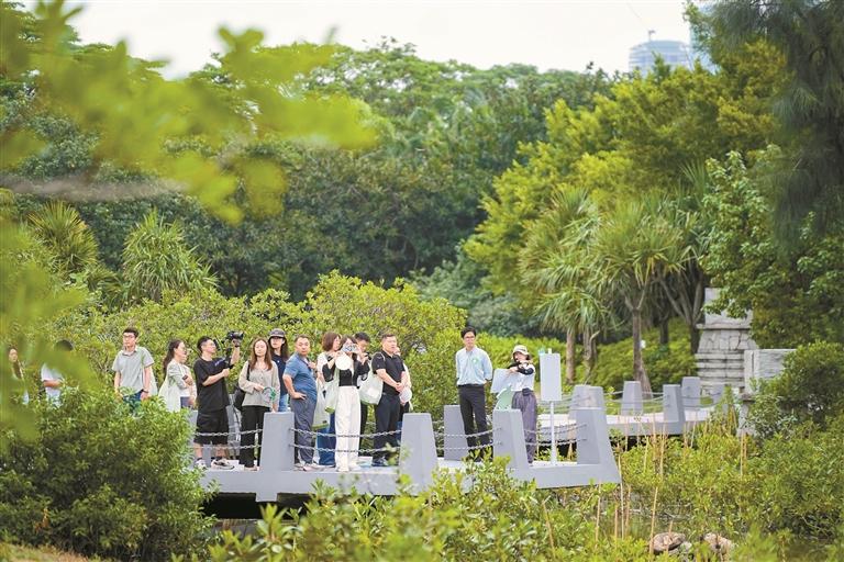 Restoring the Natural Rhythm of Tides to Enhance Ecological Resilience: Shenzhen Bay Tidal Wetland Park Renewed to Welcome Migratory Birds