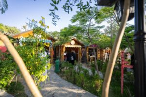 صور | تجربة فريدة في الطائف.. متعة الأنشطة العائلية مع مزرعة الفراولة 1