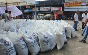 CHEAPER RICE. Part of the National Food Authority rice stocks during the launch of the PHP20 per kg. rice under the “Benteng Bigas Meron (BBM) Na!” initiative in Bacolod City on June 5, 2025. The city government is processing the procurement of rice supply for the program’s second tranche, expected to resume this month. (PNA Bacolod file photo)