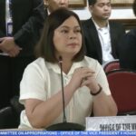 Screenshot from House of Representatives video