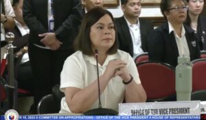 Screenshot from House of Representatives video