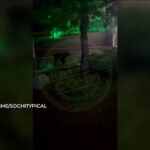 Видео канала «Кубань 24»