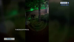 Видео канала «Кубань 24»