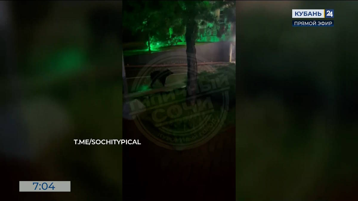Видео канала «Кубань 24»