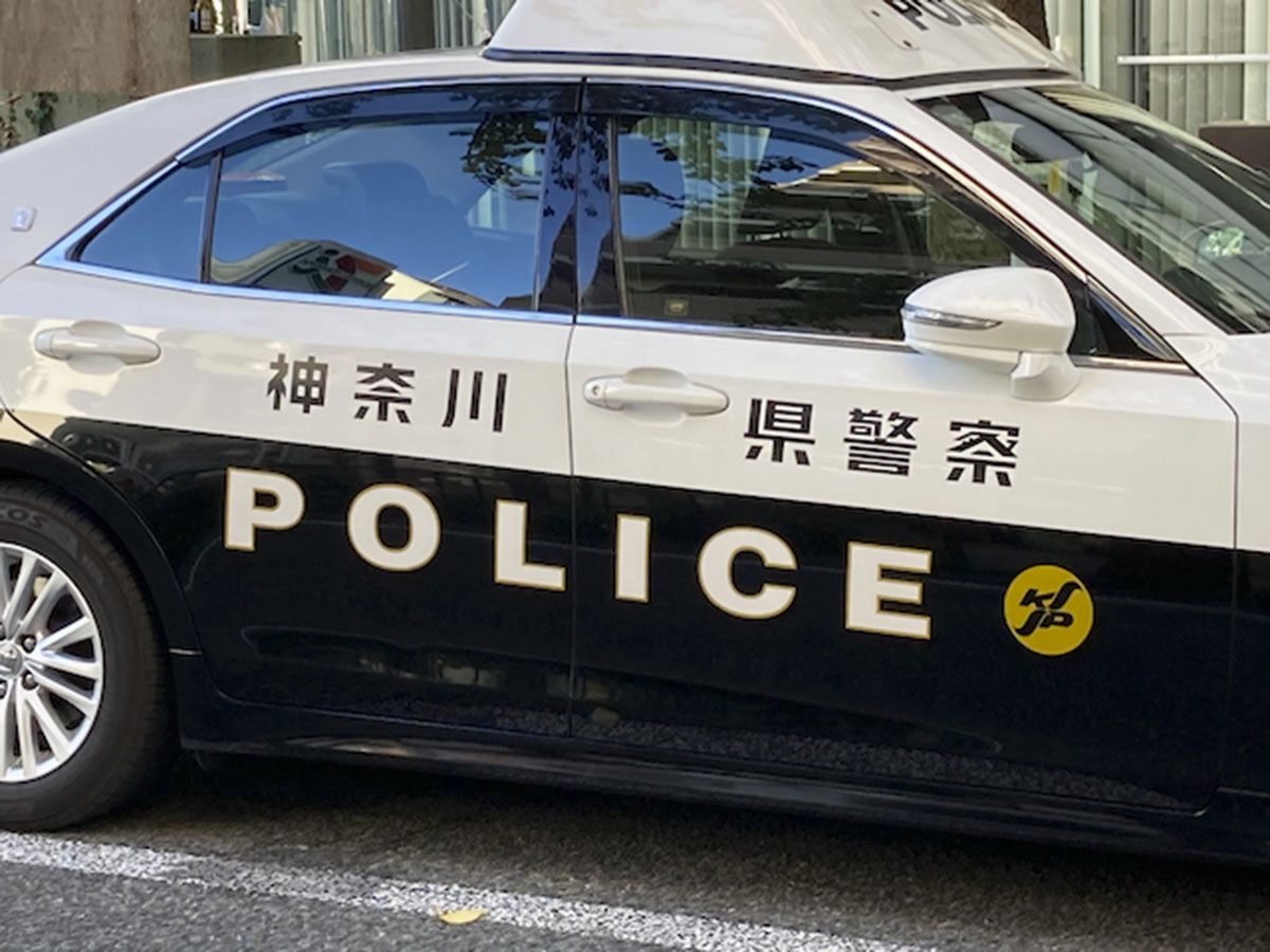 （資料写真）