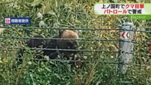 北海道上ノ国町で、道道を歩くおよそ１メートルほどのクマ１頭が目撃されました。