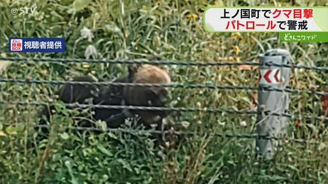 北海道上ノ国町で、道道を歩くおよそ１メートルほどのクマ１頭が目撃されました。