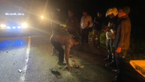 Polisi melakukan olah TKP peristiwa truk colt diesel menabrak pengendara motor di Jalinsum Tarutung-Sipirok menewaskan 3 orang abang beradik. (istimewa)