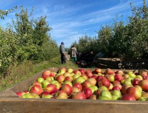 Источник фото: t.me/emnaumov