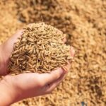 Источник фото: ru.freepik.com