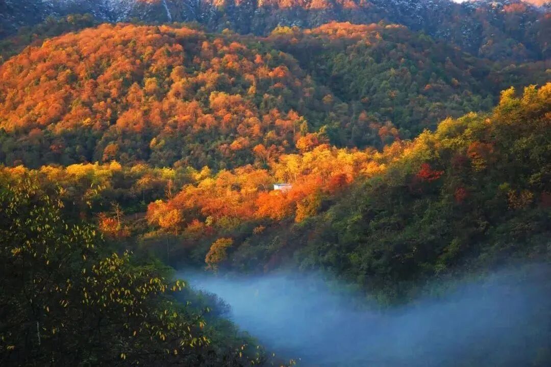 Bergpanorama im Herbst