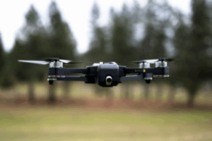 Источник фото: ru.freepik.com