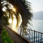 Источник фото: ru.freepik.com
