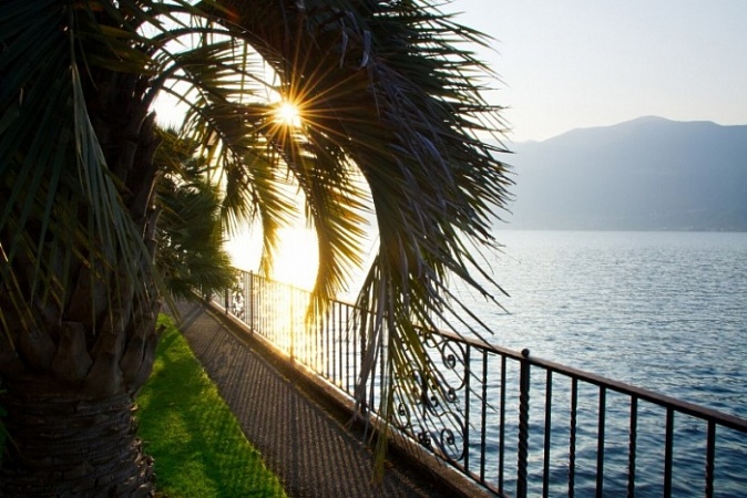 Источник фото: ru.freepik.com
